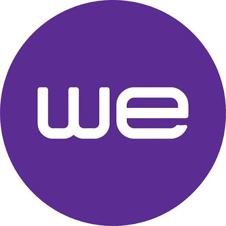 WE / Telecom Egypt logo